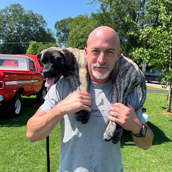 Meet your Posher, Debra - Picture 4 of 4